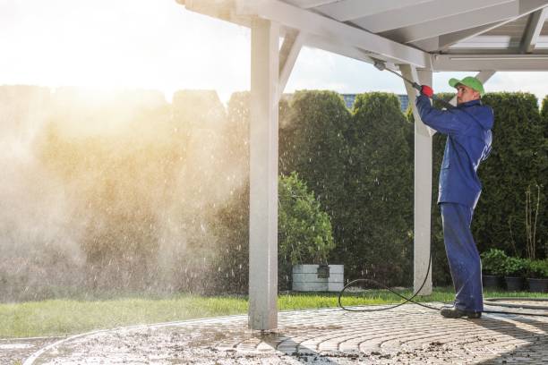Best Dumpster Area Cleaning  in Williamsburg, VA