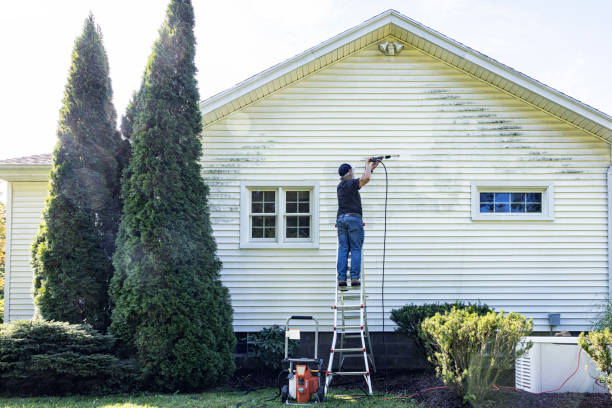 Best Oil Spill Cleanup  in Williamsburg, VA